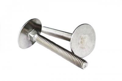 VCB307C-5-40 5/16-18 X 2 1/2 ELEVATOR BOLT, STAINLESS